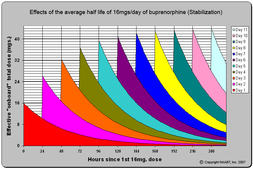 Xanax Half Life Chart