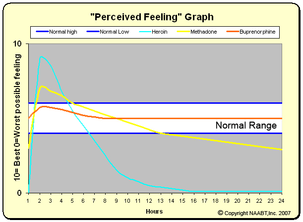 Suboxone Half Life Chart